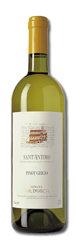 pinot grigio organic bio montalcino tuscany vintage 2022